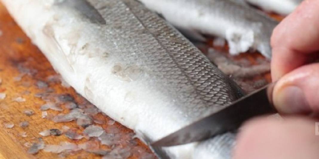 Vitamin yerine zehir yemeyin! Balıklarda büyük tehlike: Prof. Dr. Meltem Sarıoğlu uyardı 4